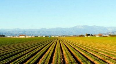 Tunisie : Récupération de deux terrains domaniaux agricoles de 64 hectares