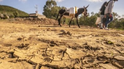 Étude: L’inaction face au changement climatique entraine la destruction de 216 mille emplois agricoles d’ici 2050