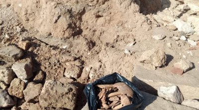 بالصور : ظهور آثار جديدة في المهدية ونابل إثر الأمواج العاتية 