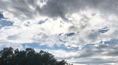 طقس اليوم : أجواء مغيمة جزئيا مع ضباب محلي