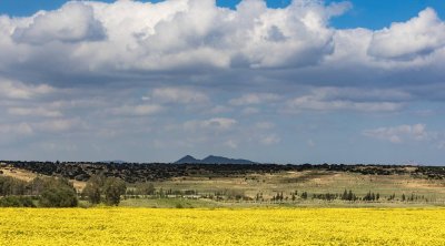 Tunisie: Temps parfois très nuageux avec des pluies éparses
