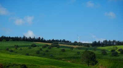 تونس.. الحرارة في ارتفاع طفيف اليوم الجمعة 