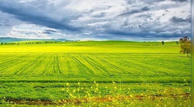 تونس : الحرارة في ارتفاع طفيف الجمعة 