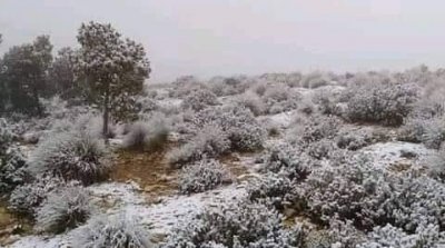 تساقط الثلوج بمرتفعات تالة والعيون