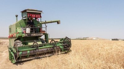 El Kef: démarrage de la saison de la moisson