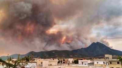 Tunisie : L’incendie de la montagne de Borj Cédria maîtrisé