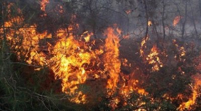القيروان: حريق في المنطقة الغابية المسير بالوسلاتية