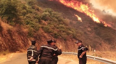 الجزائر : مقتل 38 شخصا في حرائق غابات عدّة