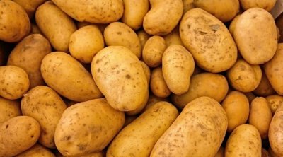 Commerce parallèle: 2901 tonnes de pommes de terre et d’oignons saisies