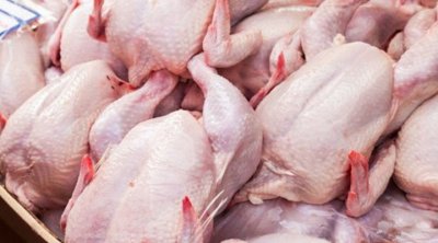إتفاق رسمي على التخفيض في أسعار الدجاج