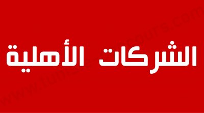 ما هي الشـــــــركات الأهلية ؟