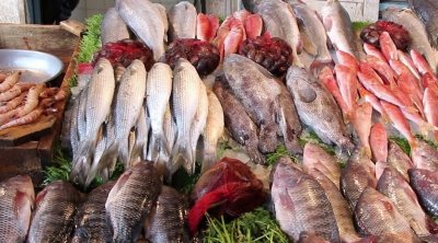 La balance commerciale des produits de la pêche excédentaire de 272,8 MD à fin août