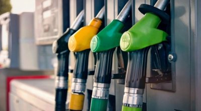 OTE: la levée des subventions pourrait porter atteinte aux droits fondamentaux des citoyens