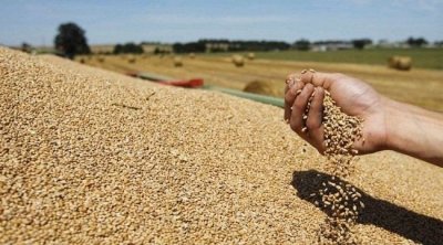 La Tunisie importera 250 mille tonnes de blé de la France