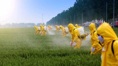 مبيدات مسرطنة تصل من سويسرا إلى تونس و تستعمل كأدوية للقمح و الشعير