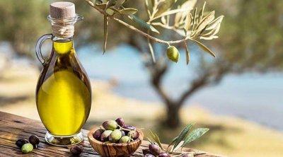 إنتاج زيتون الزيت للموسم الحالي يقدر بحوالي 900 ألف طن