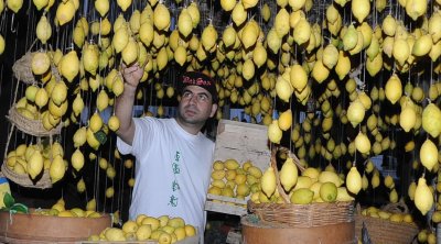 Tunisie : Hamza Ayari et la beauté des citrons 