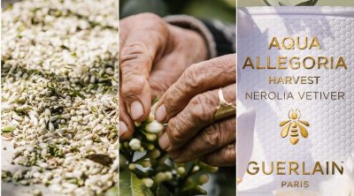 Guerlain vient chercher ses notes florales en Tunisie  (Photos)  