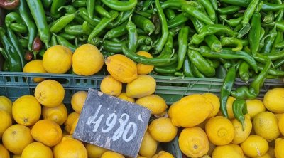 أسعار الخضر و الغلال في مرشي أريانة ( صور)