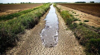 نقابة الفلاحين تدعو السلطات الى إيجاد مصادر مياه بديلة و زراعات تتأقلم مع الجفاف 
