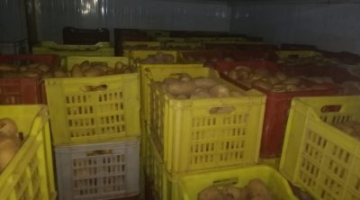 La douane annonce la saisie de 70 tonnes de pommes de terre à Sfax