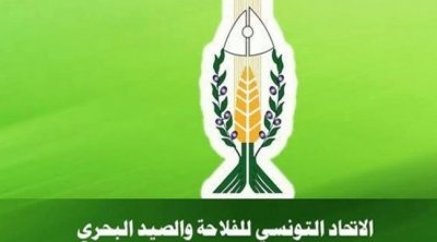 L’UTAP appelle à augmenter les prix des céréales pour soutenir les agriculteurs 