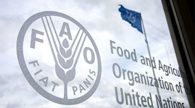 بأجر 700 دولار شهريًا : فرص تكوين للتونسيين المقيمين في الخارج