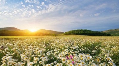 أحوال الطقس أول أيام العيد 