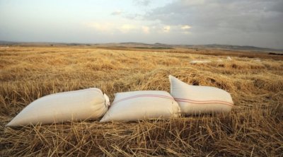 وصول باخرة محمّلة بأكثر من 25 ألف طن من القمح الأمريكي إلى تونس