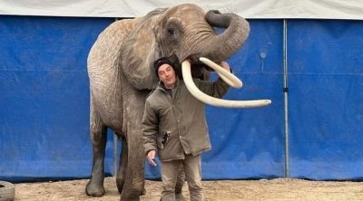 فرنسي يهدي ''فيلة'' إلى حديقة البلفيدير