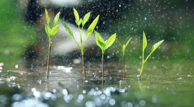 تونس : كميات الأمطار المُسجلة خلال الـ24 ساعة الأخيرة