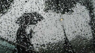 طقس اليوم : أمطار متفرقة ورعدية وأحيانًا غزيرة