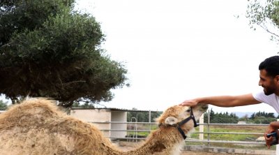 بالصور : مزرعة تونسية بحيوانات ونباتات إستوائية