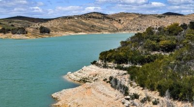 مسؤول بوزارة الفلاحة: التقسيط مكّن من تخفيض كميات سحب المياه من السدود