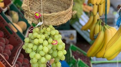 السوق الليبية استحوذت على 60،5% من صادرات الغلال التونسية الى حدود جويلية 2023