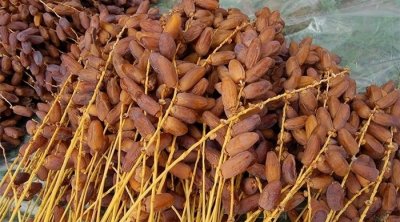 تراجع كميات وقيمة صادرات تونس من التمور حتى موفى جوان 2023