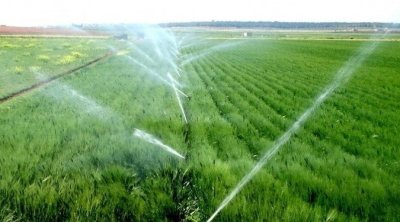 منوبة : توزيع 4.7 مليون متر مكعب من مياه الري في جويلية وأوت 