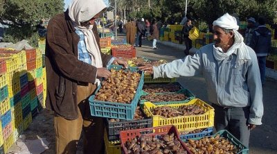 وزارة الفلاحة تقرّ إجراءات تتعلّق بدعم موسم التمور 2023–2024