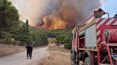 وزارة الفلاحة تضع رقما أخضر للتبليغ عن التجاوزات المضرة بالثروات المائية والغابية