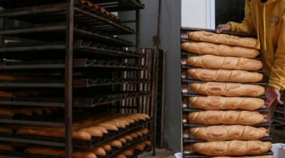 حجز 1000 باڨات خلال حملة أمنية في أريانة 