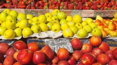 صادرات تونس من الغلال تتراجع بـ44.7٪