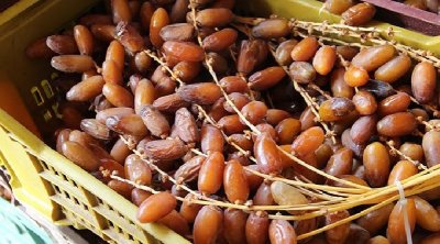 ضَبْط الأسعار المرجعية للتمور التونسية عند الإنتاج 