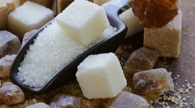 Béja: L’usine de raffinage du sucre reprend son activité