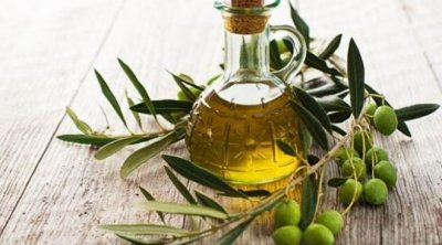 توقعات بإنتاج مليون طن زيتون ما يعادل 200 ألف طن زيت