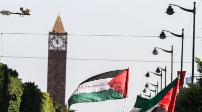 وزارة التعليم العالي تقر جملة من الإجراءات لدعم الطلبة الفلسطينين بتونس
