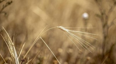 وفد من البنك الدولي يبحث مع تونس وضع خطة للإحاطة بالفلاحين 