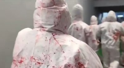 جماهير ريال سوسيداد تدعم فلسطين بطريقة رائعة (فيديو)