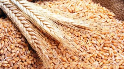 Sfax : Déchargement d’un navire chargé de blé