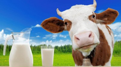 المنظمة التونسية لإرشاد المستهلك : أزمة الحليب في تونس مفتعلة