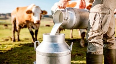 تونس : أزمة الحليب في طريقها إلى الإنفراج نهاية جانفي 